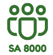 SA-8000-pdf